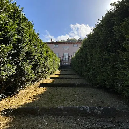 Borgo Al Canto Degli Alberi * 루카